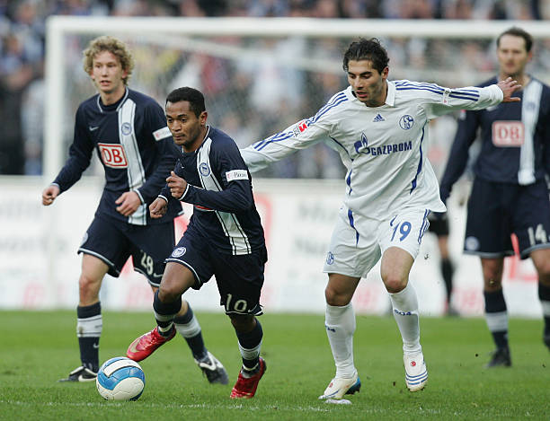 不仅捍卫了 不仅捍卫了